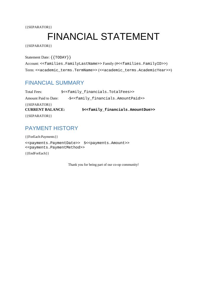 Preview of the Financial Statement with Payment History template